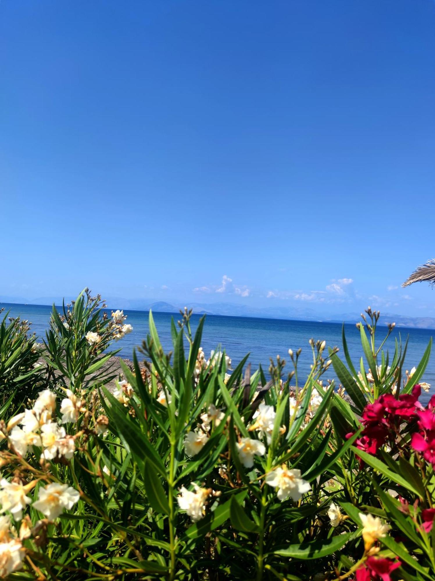Blue Waves Corfu Aparthotel Kavos Exterior photo